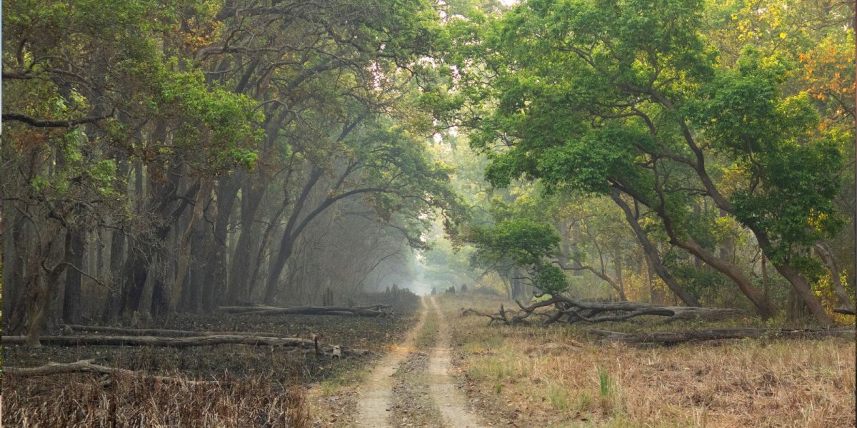 Dudhwa