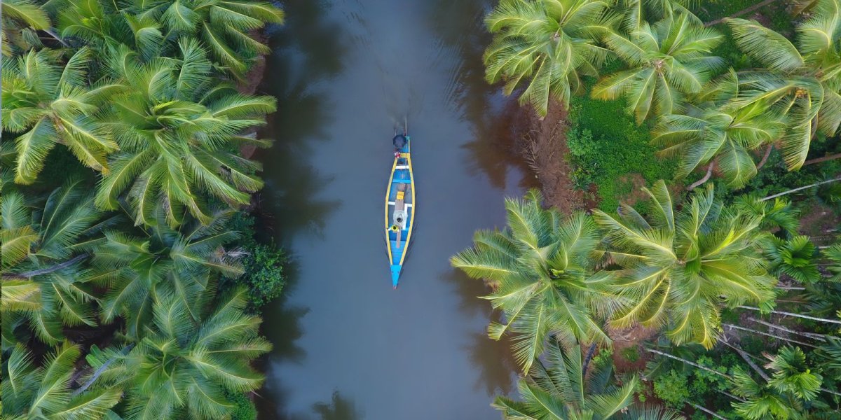 Kerala Heritage &amp;amp; Backwaters Tour